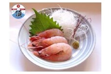 戸田の本えび ３パック（１パック300g 約8cmのものが17～23尾程度）