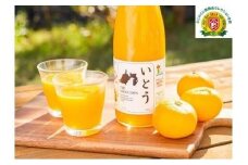 いとうTHE MIKAN 100%　2本セット