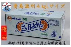 三ヶ日みかん（青島温州）4kg【2026年1月以降順次発送】