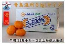 三ヶ日みかん（青島温州）8kg【2026年1月以降順次発送】	