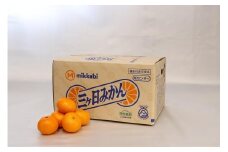 三ヶ日みかん（早生温州）8kg【2025年11月上旬から12月上旬順次発送】
