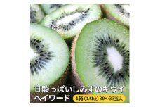 【2026年1月下旬より順次発送】甘酸っぱいしみずのキウイ ヘイワード【配送不可：離島】◆