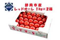 【2025年12月より順次発送】完熟中玉トマト レッドオーレ2箱【配送不可：北海道・沖縄・離島】◆