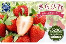 いちご キラッと輝くいちご きらぴ香 10箱 20パック 大粒 果物 イチゴ 苺 国産 ギフト 贈答品 お祝い プレゼント フルーツ くだもの 冷蔵