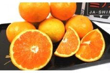 【2025年11月中旬より順次発送】秋の味覚　甘～い　早生ミカン5kg【配送不可：離島】◆