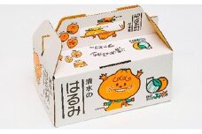 【2026年2月上旬より順次発送】静岡県清水生まれの美味しい柑橘「はるみ約2.5kg」【配送不可：離島】◆