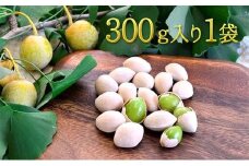 【2025年9月中旬より順次発送】真空パックで新鮮！しみずの銀杏300g　1袋★★