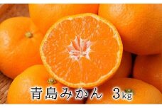 【2026年1月中旬より順次発送】甘さと酸味がマッチ　青島みかん3kg