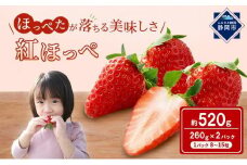 いちご ほっぺたが落ちる 紅ほっぺ 2パック 果物 イチゴ 苺 おやつ ギフト 贈答品 お祝い 5000円 プレゼント 国産 フルーツ くだもの