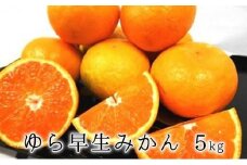 【2025年10月上旬より順次発送】甘みと酸味がギュッ　ゆら早生みかん5kg◆
