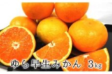 【2025年10月上旬より順次発送】甘みと酸味がギュッ　ゆら早生みかん3kg★★◆