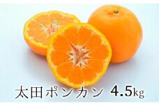 【2026年1月より順次発送】静岡県清水生まれの美味しい柑橘・太田ポンカン 4.5kg◆