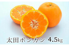 【2026年1月より順次発送】静岡県清水生まれの美味しい柑橘・太田ポンカン 4.5kg◆