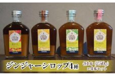 ジンジャーシロップ4種セット◇