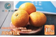 【2026年3月下旬より順次発送】青木農園 スルガ甘夏 10kg【配送不可：離島】◇