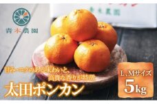 【2026年1月中旬より順次発送】青木農園 太田ポンカン 5kg【配送不可：離島】◇