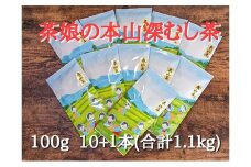 【茶娘の深むし茶】静岡市産深むし茶100g『10+1本』合計1.1kg◆無添加 小分け お茶 ブランド 静岡茶 大容量 静岡県産 カテキン 家庭用 静岡県 深蒸し茶