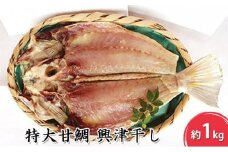 河岸の市 特大甘鯛 興津干し（みかみ） 海の幸 【配送不可：離島】