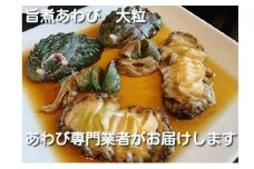 2L 旨煮 あわび 2個入り（1個 約130g）【配送不可：離島】◆