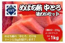 冷凍 鮪 メバチマグロ 味わいセット（とろ） 静岡市 天然 まぐろトロ マグロ 厳選 海生水産 海の幸■