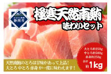 冷凍 鮪 極寒 天然 南鮪 味わいセット（大とろ・中とろ・赤身）静岡市 天然 まぐろ トロ マグロ 厳選 海生水産 海の幸
