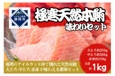 冷凍 鮪 極寒 天然 本鮪 味わいセット（大とろ・中とろ・赤身）静岡市 天然 まぐろ トロ マグロ 厳選 海生水産 海の幸