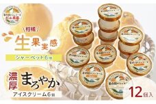 果樹園のジェラート 柑橘食べ比べ12個セット 100ml×12個 冷凍 ギフト アイスクリーム シャーベット□