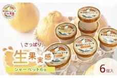 果樹園のジェラート 夏にさっぱりシャーベット6個セット 100ml×6個 冷凍 ギフト アイスクリーム シャーベット□