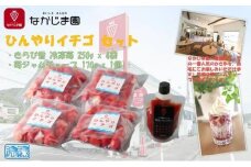 ひんやりイチゴ セット（きらぴ香 冷凍苺 250g×4袋＋苺ジャム チューブ 170g×1個）冷凍 なかじま園 自宅で かき氷 パフェ いちご 苺 国産 フルーツ くだもの◆