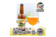 蒲原エール 6本セット (キーホルダー栓抜き付き) HORSEHEAD LABS クラフトビール ご当地ビール 地ビール お酒 ビール◇