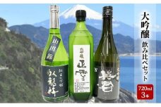 駿河清水の地酒！『大吟醸』飲み比べセット720ml×3本 化粧箱入幸せの酒 銘酒市川 日本酒 飲み比べ セット お酒 プレゼント お祝い ギフト