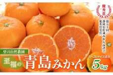【2025年12月下旬より順次発送】至福の青島みかん 約5kg 望月自然農園 静岡県貯蔵ミカン品評会優秀賞 フルーツ 柑橘 オレンジ みかん◆