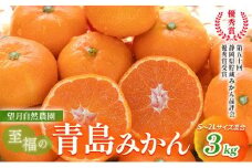 【2025年12月下旬より順次発送】至福の青島みかん 約3kg 望月自然農園 静岡県貯蔵ミカン品評会優秀賞 フルーツ 柑橘 オレンジ みかん◆