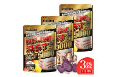 ブラックジンジャー サプリメント フラムジンジャー 機能性表示食品 3袋セット◇