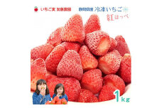 【冷凍】 静岡県産いちご 紅ほっぺ 1kg 苺 フルーツ◇