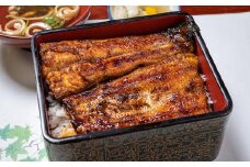 静岡産うなぎ蒲焼真空パック 約120g×3枚