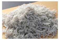 由比一艘曳き釜揚げしらす　500g（50g×10パック）◇