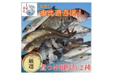 しずまえ！煮つけ用鮮魚ボックス(厳選２種入り)■