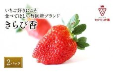 大粒きらぴ香いちご（450g×2パック）ギフトBOX入り なかじま園 大粒 果物 イチゴ 苺 ギフト 贈答品 お祝い 化粧箱 プレゼント 国産 フルーツ くだもの 冷蔵◆