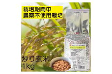 炒り玄米1kg　栽培期間中農薬不使用　静岡市葵区産□