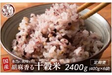 【3ヶ月定期便】胡麻香る十穀米 (400g×2袋)【合計2400g 全6袋】