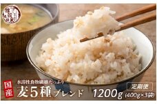 【3ヶ月定期便】国産麦5種ブレンド (400g×1袋)【合計1200g 全3袋】