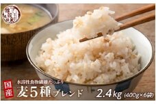 国産麦5種ブレンド 2.4kg(400g×6袋)