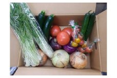 旬のお野菜詰め合わせセット【配送不可：北海道・沖縄・離島（一部除く）・島しょ部】◇