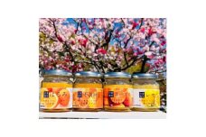 柑橘農家手作り! 無添加柑橘ジャム 4種食べ比べセット フルーツ 柑橘 オレンジ◇