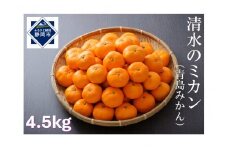 【2026年1月中旬より順次発送】甘さと酸味がマッチした清水のミカン（青島みかん）4.5kg【配送不可：離島】◆