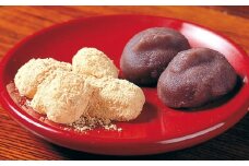 お菓子 和菓子 静岡名物 松柏堂本店 あべ川もち 20人前