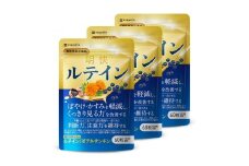 明快 ルテイン サプリメント 見ると認知をケアする機能性表示食品 ブルーベリー DHA 60粒入 3袋（3ヶ月分）