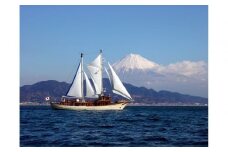 【オーシャンプリンセス号貸切】60分間