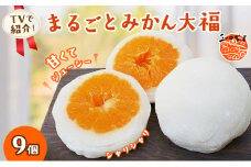 大福 三ヶ日みかん まるごと みかん大福 詰め合わせ [№5786-1008]